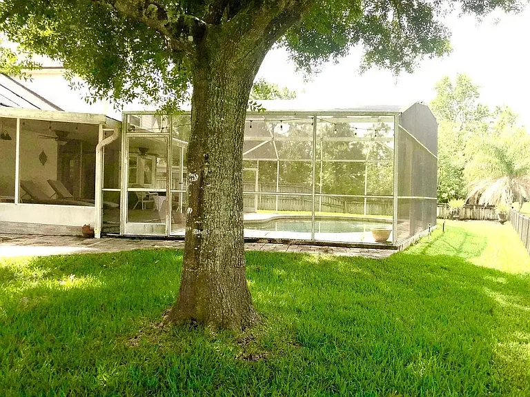 Backyard