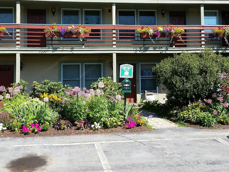 Flowers in Bloom