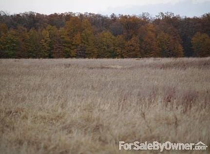 2nd image of 3520 Farm Road 1498