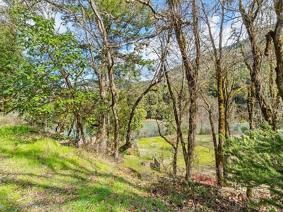 2nd image of 71 Triple R Ln