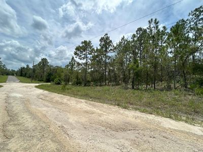 6 NE 152nd Ave Lot 6, Williston, FL, 32696