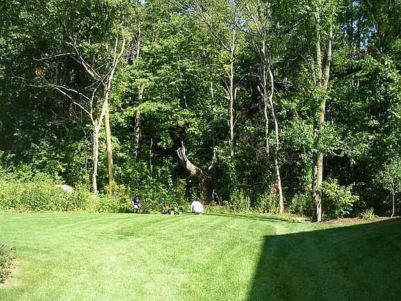Private backyard with mature trees