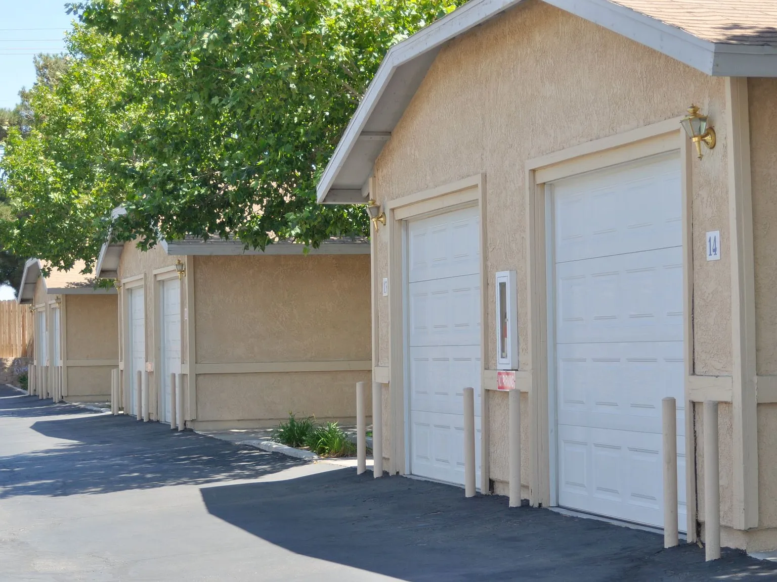 Desert Meadows — Photo 3