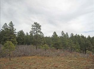 1776 Beaver Creek Dr, Bayfield, CO 81122