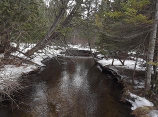 0 Burrows Rd, Wolverine, MI 49799