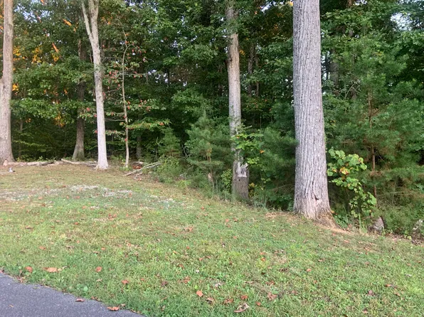 LOT 1223 Rebel Pl, White Pine, TN 37890