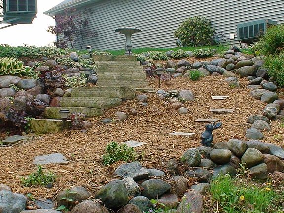 a view of the landscaping