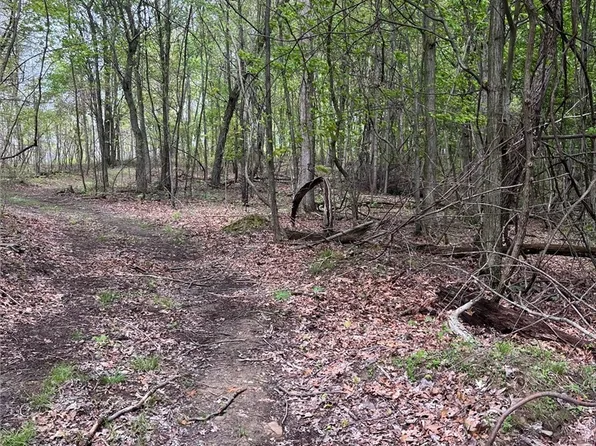 Sandy Ridge Rd SE, Tippecanoe, OH 44699