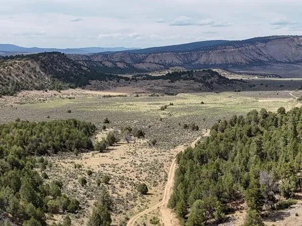 State Road 112, La Jara, NM 87027
