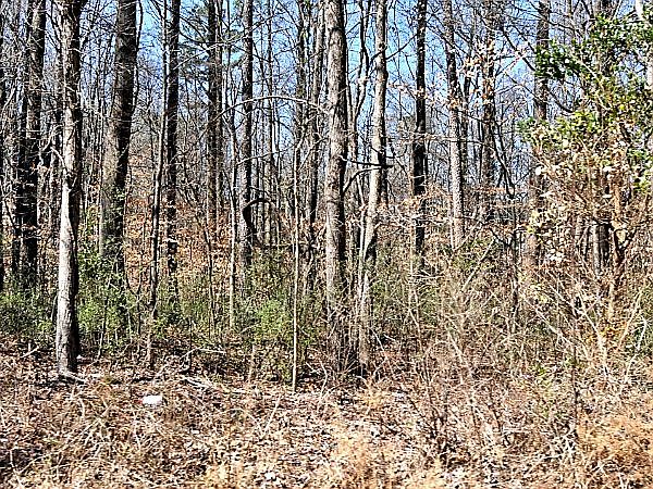 1st image of 2447 Gemway Dr
