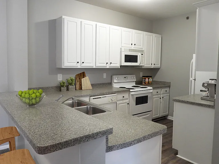 Owens Lake Commons Apartments & Townhomes — Photo 66