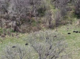 3141 Rogers Rd, Jacksboro, TX 76458