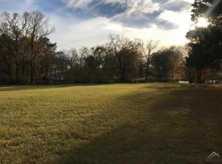 16388 S Lakeview Dr, Troup, TX 75789