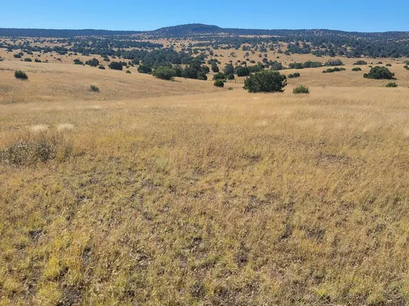 Unk, Quemado, NM 87829