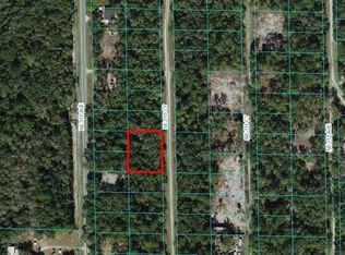 NE 110th Ct #26, Fort Mc Coy, FL 32134