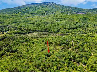 E3 Nearing Rd, Bondville, VT 05340