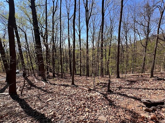 3rd image of 0 Sassafras Ct #4544