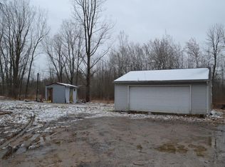 7355 Sand Lake St, Sand Lake, MI 49343