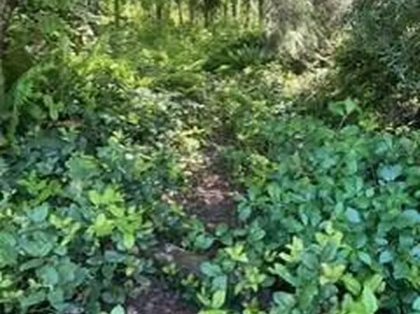 Tl2100 Ne Nevada St, Waldport, OR 97394