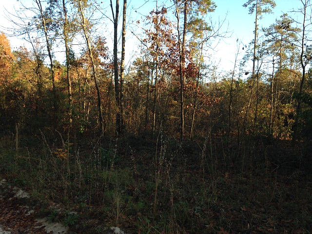 1st image of LOT 5 Battlefield Dr