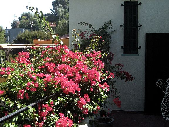 2nd image of 5905 Graciosa Dr
