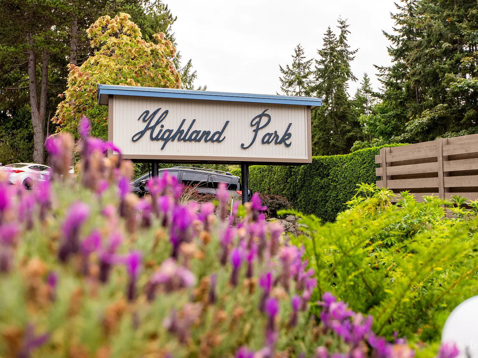 2 bed, 925 sqft, $3,250 — Photo 4