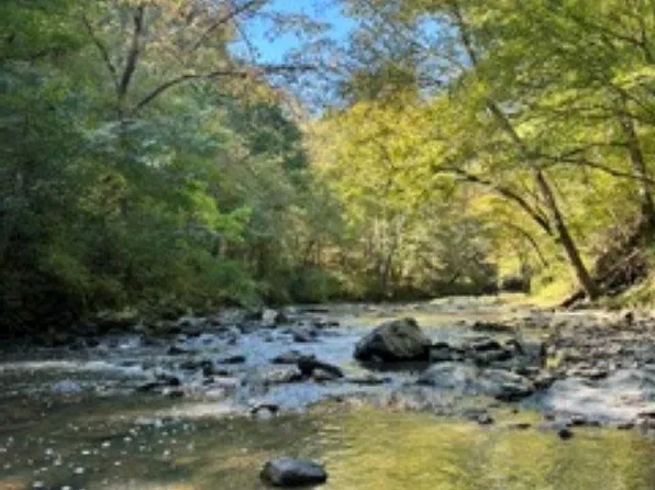 LOT 1 Highway 42, Calera, AL 35040