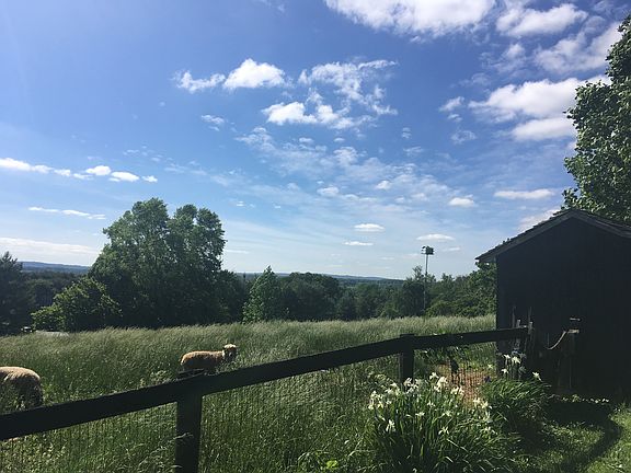Fenced, Barn and sheds.