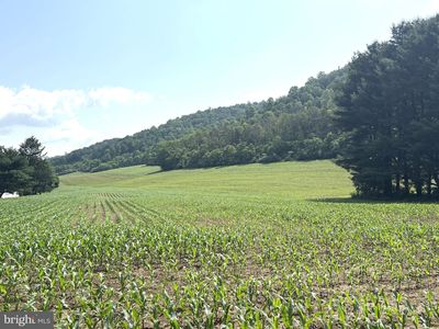 7260 Chilcote Hollow Rd, Petersburg, PA, 16669