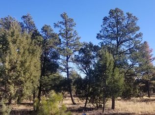 1529 Mainline Rd, Heber, AZ 85928