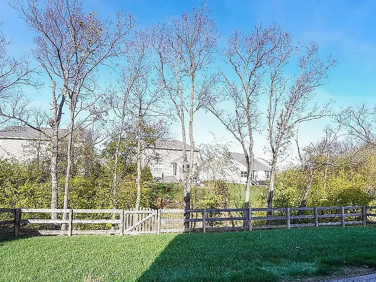 8006 Summerlin Ct — Photo 29