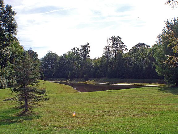 Backyard View