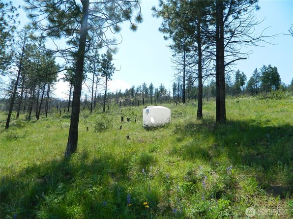 428 Five Mile Road, Tonasket, WA 98855