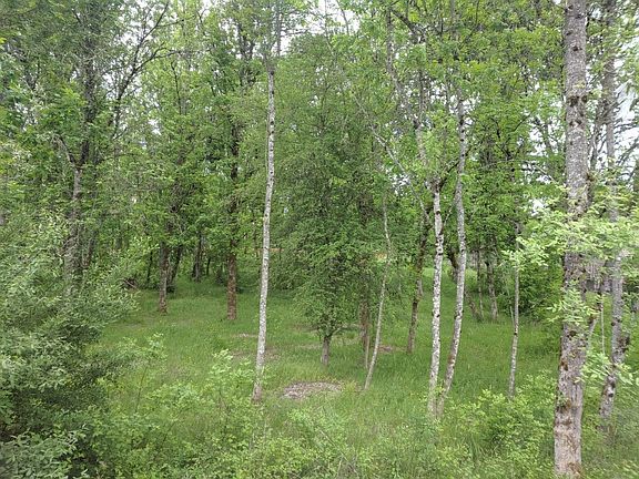 View from 2 bedrooms