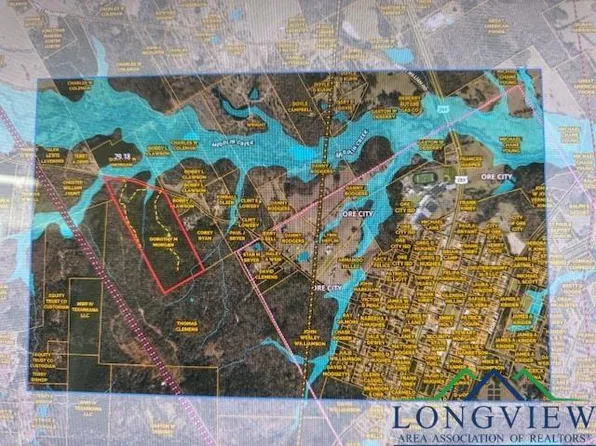 11835 Nasturtium Rd, Ore City, TX 75683