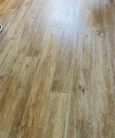 NO Carpet ANYWHERE
