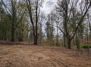 V/l E Kissing Oaks Trl #163, Custer, MI 49405