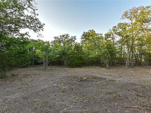 3rd image of County Road 415 Tract Acres #3-5.29