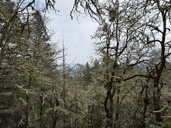 4th image of 907 Riverbanks Rd #907