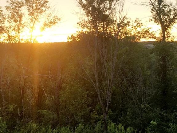 Backyard View