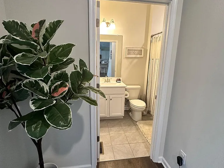 173 Brooklyn Mill Pl — Photo 10