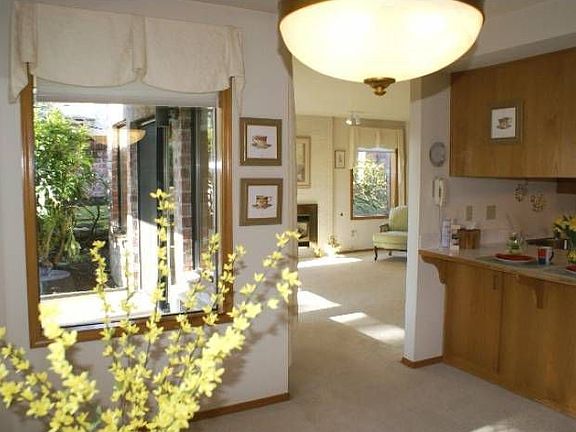 View from Dining Room