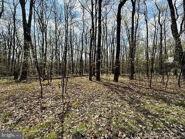 1st image of 13 Timberman Rd