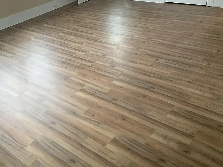 Large main room with closet and bathroom.