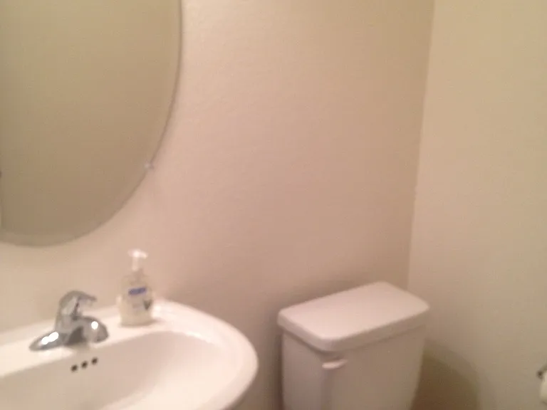 516 Abelia Way — Photo 14