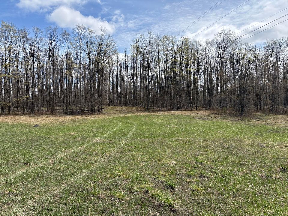 1st image of PARCEL 5 Birch Run Dr