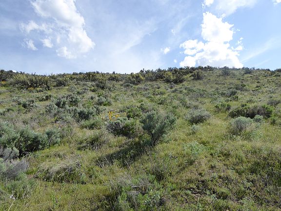 5th image of 3950 Plum Point E