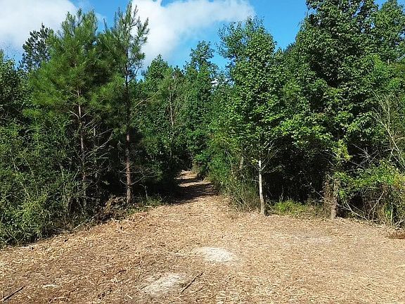 2nd image of TRACT 2 Leonard Chapel Rd