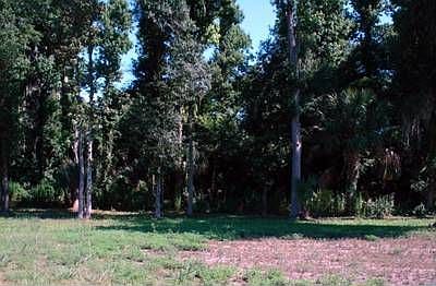 2nd image of 3709 Old Mulberry Rd