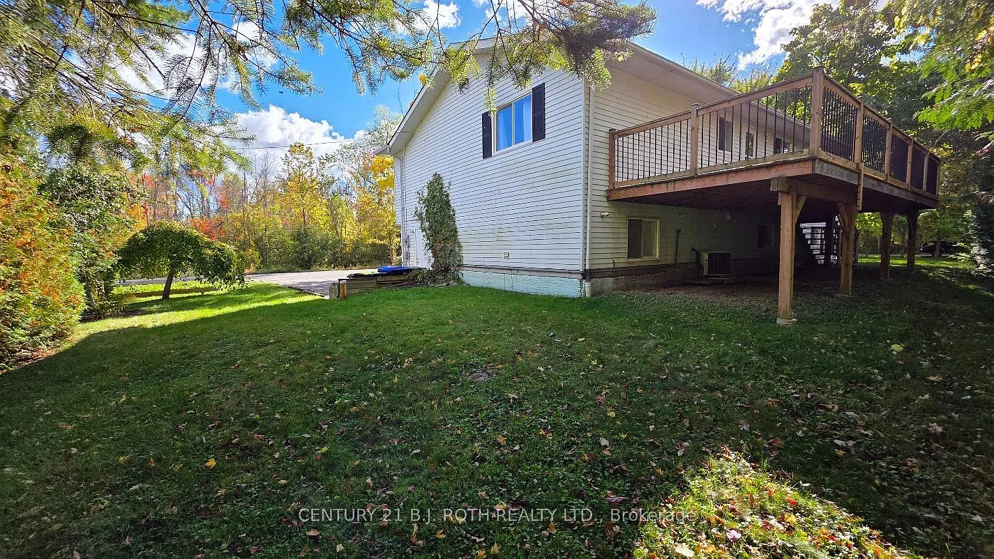 3 bed, $2,800 — Photo 4